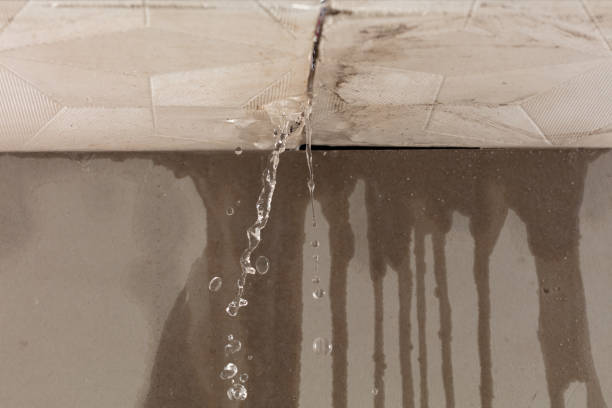 Professional Sewage Cleanup technician working in Sanbornville, NH